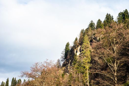 Famous park in city-resort with mineral water springs Borjomi in the mountains of Georgia