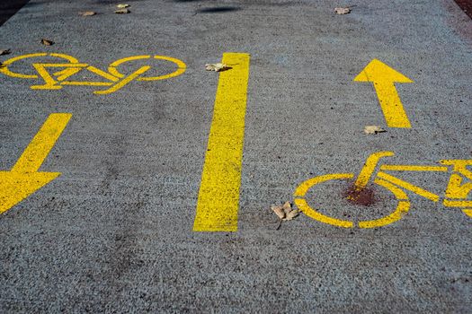 Bike riding park zone in Tbilisi, Georgia