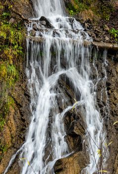 Famous park in city-resort with mineral water springs Borjomi in the mountains of Georgia