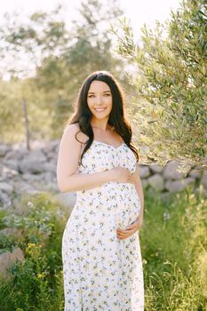 Pregnant woman hugs belly near olive tree. High quality photo
