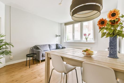 Elegantly combined living room with dining area in a minimalist style
