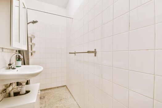 Long narrow bathroom with shower at the beginning