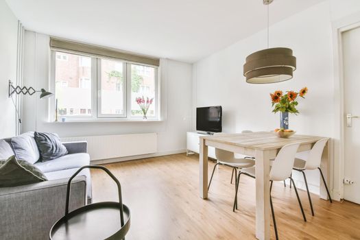 Elegantly combined living room with dining area in a minimalist style