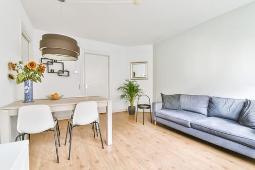 Elegantly combined living room with dining area in a minimalist style
