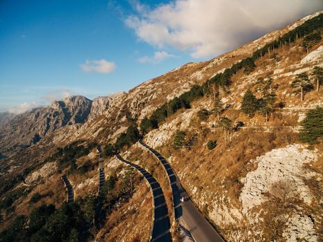 Bride and groom walk along the mountain serpentine. High quality photo