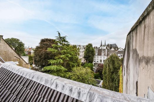 Beautiful top view of the roof of houses and trees
