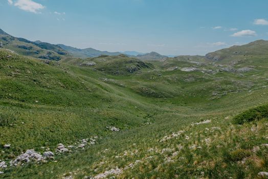 Mountain valley during sunrise. Natural summer landscape. Mountain peak green nature scenery. trail on green hill landscape