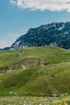 Mountain valley during sunrise. Natural summer landscape. Mountain peak green nature scenery. trail on green hill landscape