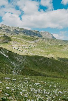 Mountain valley during sunrise. Natural summer landscape. Mountain peak green nature scenery. trail on green hill landscape