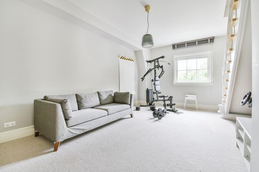 A room with a gray soft sofa and an exercise machine