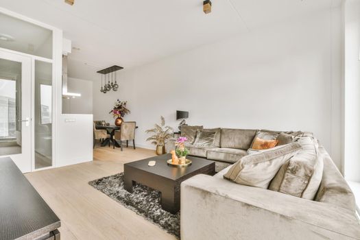 White colored living room with oriental rug furnished with gray sofa and rattan armchair