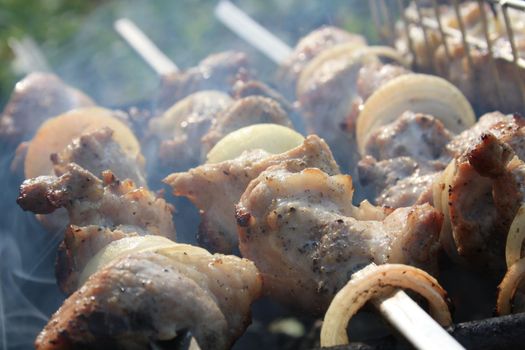 Juicy meat with onions on a skewer is fried on a fire