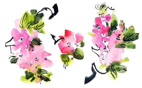 Watercolor and ink illustration of blossom sakura - twig with pink flowers and buds. Oriental traditional painting in style sumi-e, u-sin and gohua.