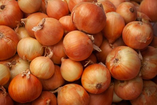 Appetizing onion flaunts on the counter of a grocery store. High quality photo