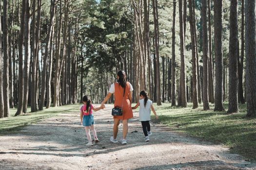 Mother and two daughters holding hands and take a walk in the pine forest on a spring day.