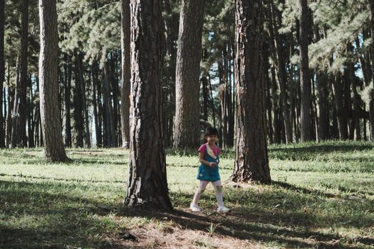 Active little girls running in the pine forest on a warm summer day. Happy girl smiles and laughs while spending time with her family in the park on vacation.