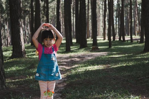 Active little girls running in the pine forest on a warm summer day. Happy girl smiles and laughs while spending time with her family in the park on vacation.