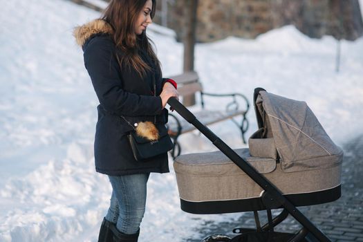 Young mother walking with her baby in pram. Beautiful stoller. Winter photosession.