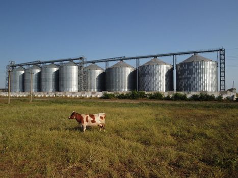 Grain elevator. Metal grain elevator in agricultural zone. Agriculture storage for harvest. Grain elevators on green nature background. Exterior of agricultural factory