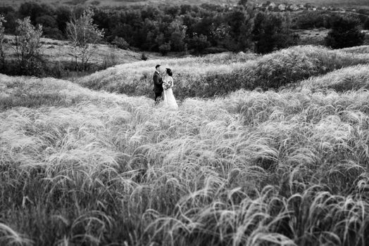 A couple in love a guy and a girl on a walk in the forest belt