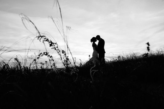 A couple in love a guy and a girl on a walk in the forest belt