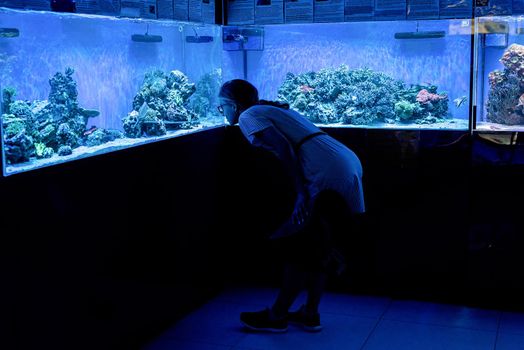 Woman silhouette watching aquariums with fish in oceanarium