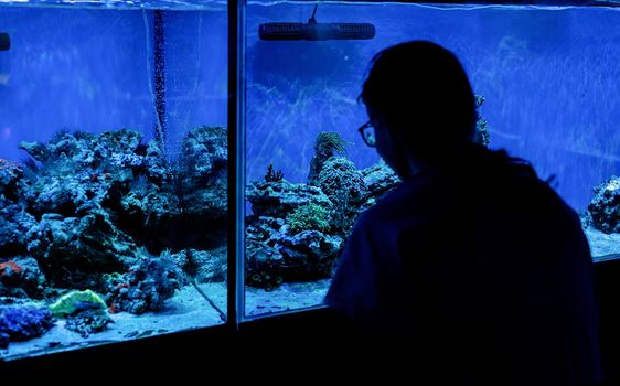 Woman silhouette watching aquariums with fish in oceanarium