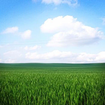 Green field and blue sky with clouds, beautiful meadow as nature and environmental background.