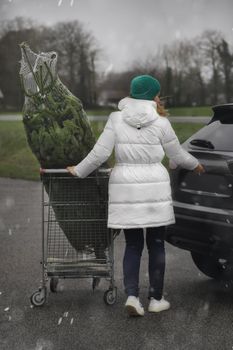 Mother bought a Christmas tree at the market