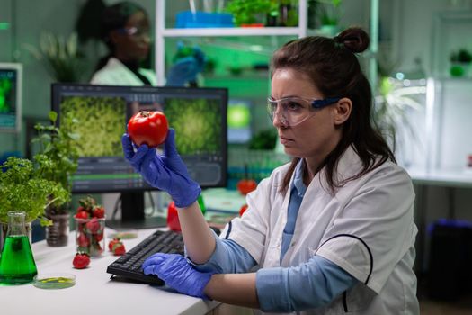 Biologist researcher woman analyzing organic tomato during microbiology experiment working in biology hospital laboratory. Scientist chemist discovering modified genetically fruits in lab-grown
