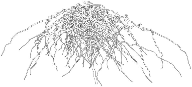 Outline a dried shrub without leaves. 3d illustration