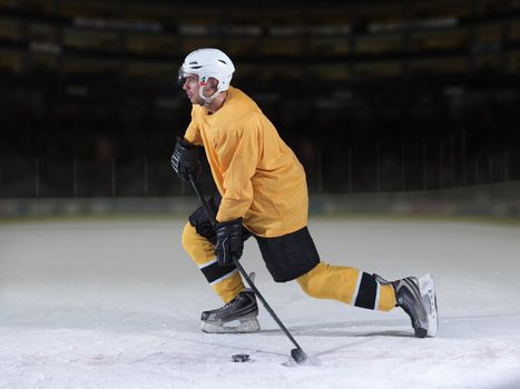 ice hockey player in action kicking with stick