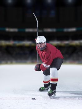 ice hockey player in action kicking with stick