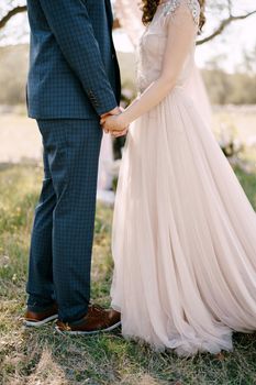 Groom and bride are holding hands while standing on the grass. Close-up. High quality photo