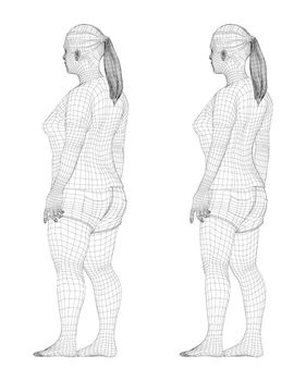 Fat and slim woman, before and after weight loss in sportswear. 3d illustration. Rear view