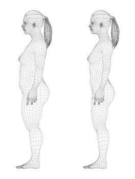Fat and slim woman, before and after weight loss. 3d illustration
