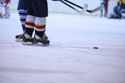 ice hockey player in action kicking with stick