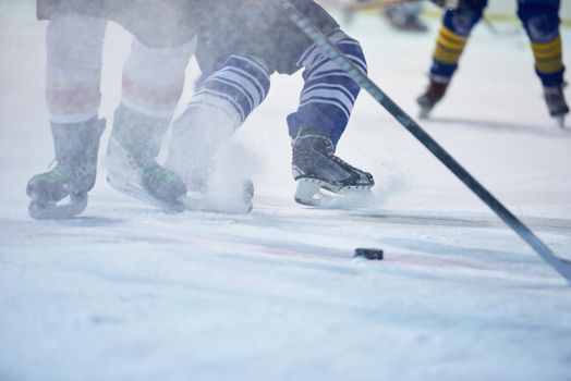 ice hockey player in action kicking with stick