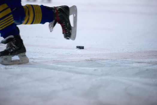 ice hockey player in action kicking with stick