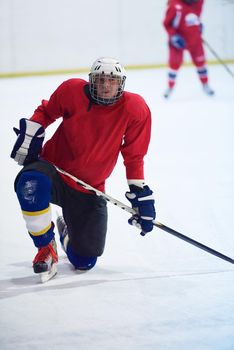 ice hockey player in action kicking with stick