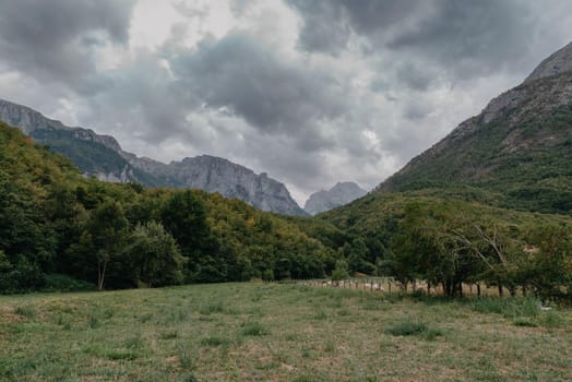 Mountain landscape with grazing sheeps.