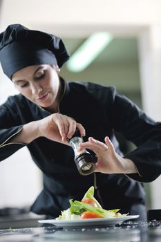 beautiful young chef woman prepare and decorating tasty food in kitchen