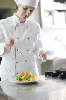 beautiful young chef woman prepare and decorating tasty food in kitchen