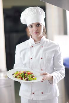 beautiful young chef woman prepare and decorating tasty food in kitchen