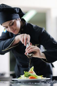 beautiful young chef woman prepare and decorating tasty food in kitchen