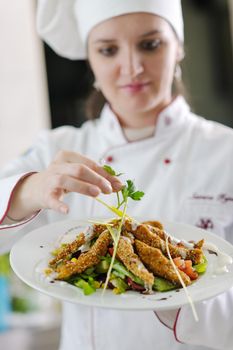 beautiful young chef woman prepare and decorating tasty food in kitchen