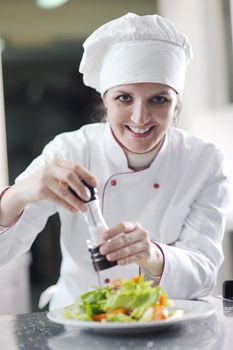 beautiful young chef woman prepare and decorating tasty food in kitchen