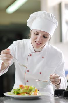 beautiful young chef woman prepare and decorating tasty food in kitchen