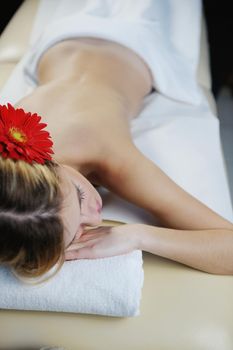 Beautiful young woman in spaand wellness. Face back and  stone massage