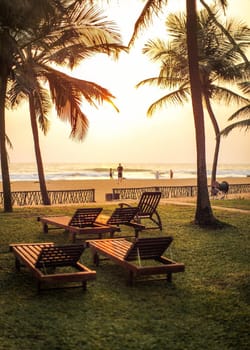 View from hotel holiday resort, empty sunbeds, palm trees, beach with blurred people and sea in distance, during golden sunset light.